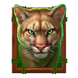 Buffalo Gold Cougar